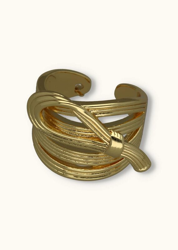 J&J Statement ring gift