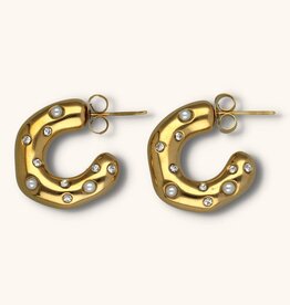 J&J Oorbel daimonds and pearls
