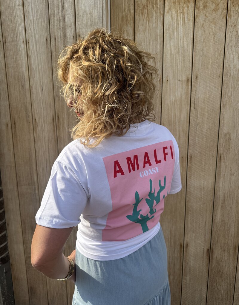 pieces Alfi fasttrack ss oversize sea plant