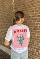 pieces Alfi fasttrack ss oversize sea plant