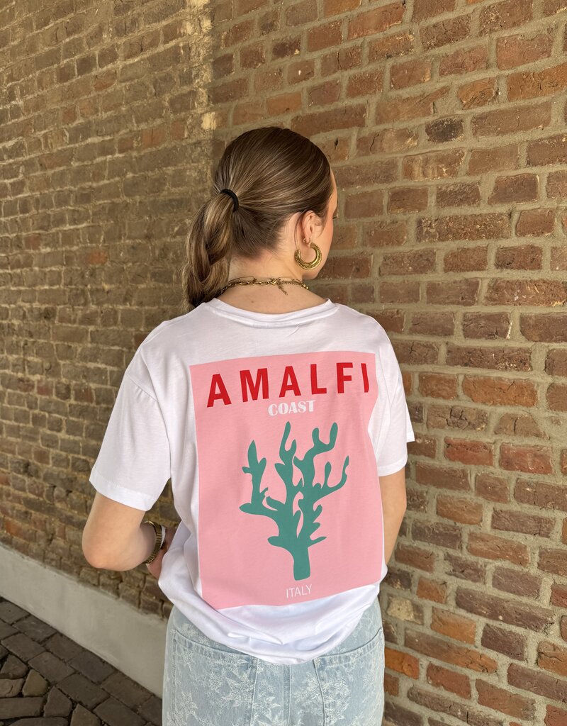 pieces Alfi fasttrack ss oversize sea plant
