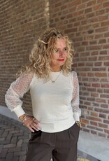 Lace sleeve top beige