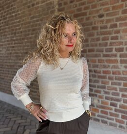 Lace sleeve top beige