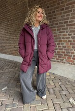 Wonder long hood puffer pig