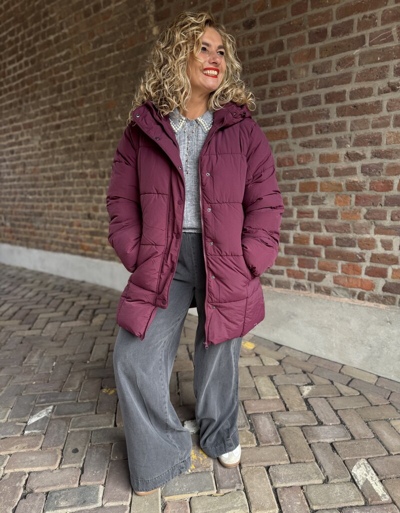 Wonder long hood puffer pig