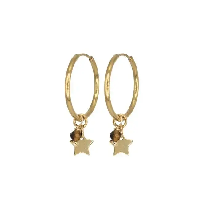 Oorringen star tijgeroog goud