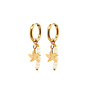 Oorringen (twisted) starfish wit goud