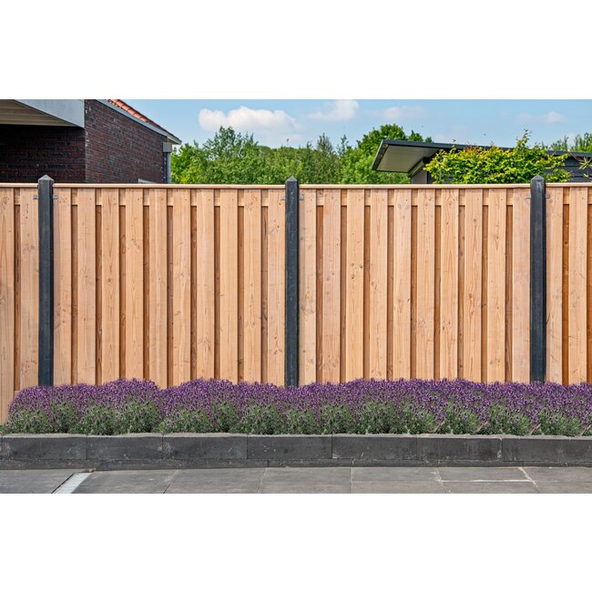 Douglas tuinscherm Zwarte Woud – 19+2 planks