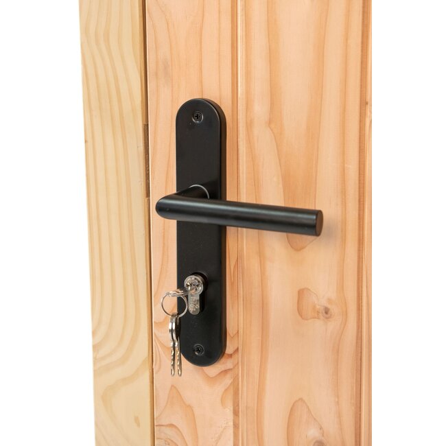 Opgeklampte Lariks/douglas deur met raam