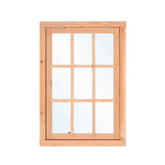 Enkel uitzetraam Douglas - 100 x 155,4 cm