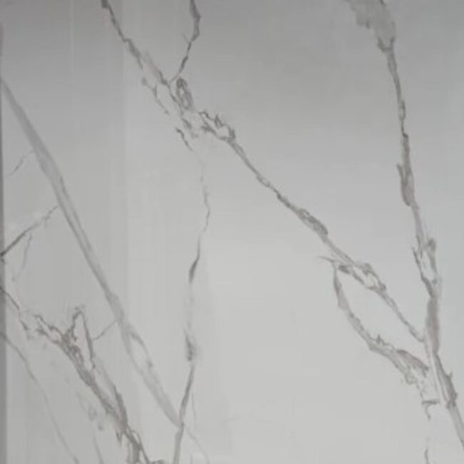 Marmer wandpaneel PVC hoogglans wit-grijs 120x280 cm