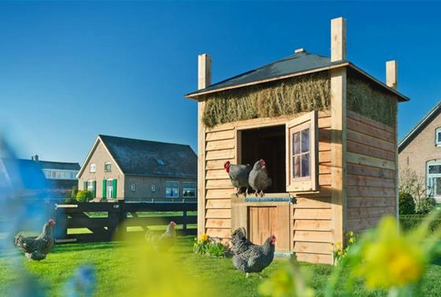 Wat is een hooiberg en hoe kun je deze gebruiken?