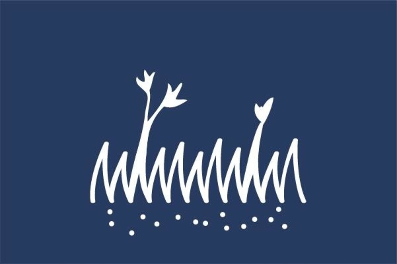 Husqvarna Husqvarna Zaagblad Scarlet Husqvarna Husqvarna Zaagblad Scarlet