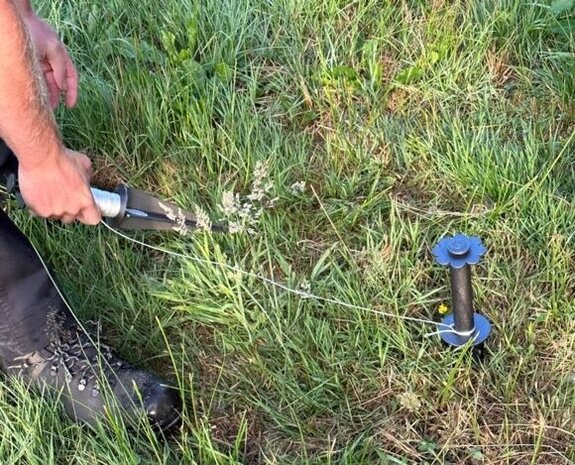 De Wit De Wit plantlijn enkel opspanbaar De Wit De Wit plantlijn enkel opspanbaar