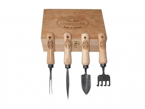 De Wit De Wit Bonsai set in leuke kado doos De Wit De Wit Bonsai set in leuke kado doos