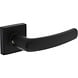 Intersteel Deurkruk Denham met rozet verdekt 50x50x10mm met nokken zwart