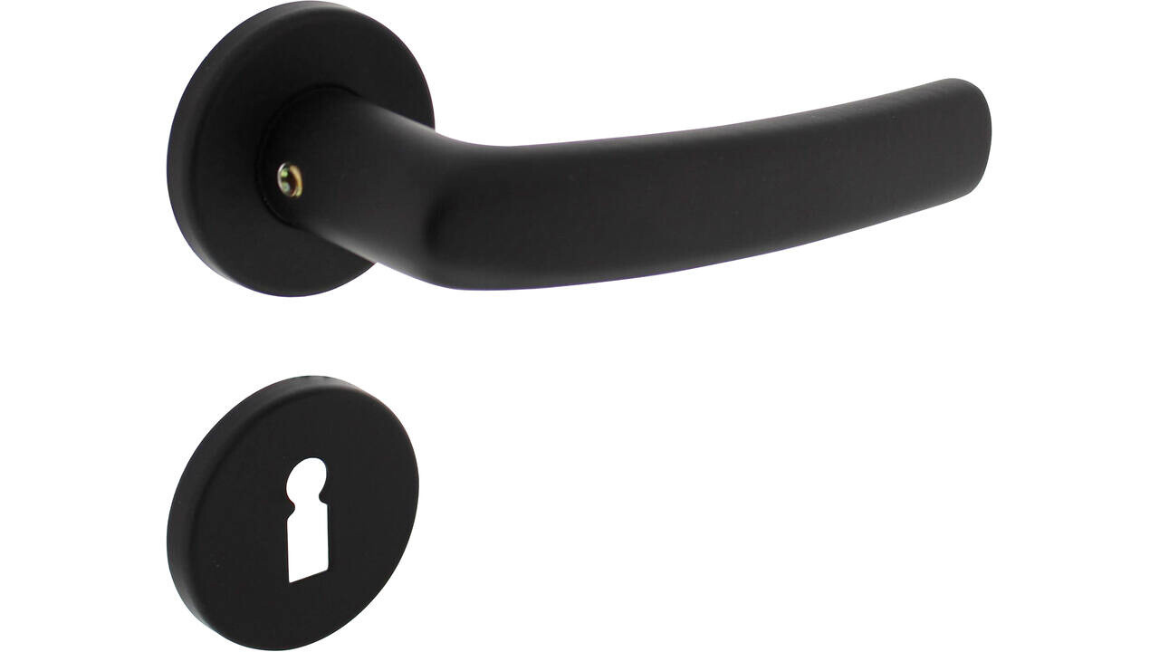 Intersteel Deurkruk Denham met rozet verdekt ø50x7mm met nokken zwart