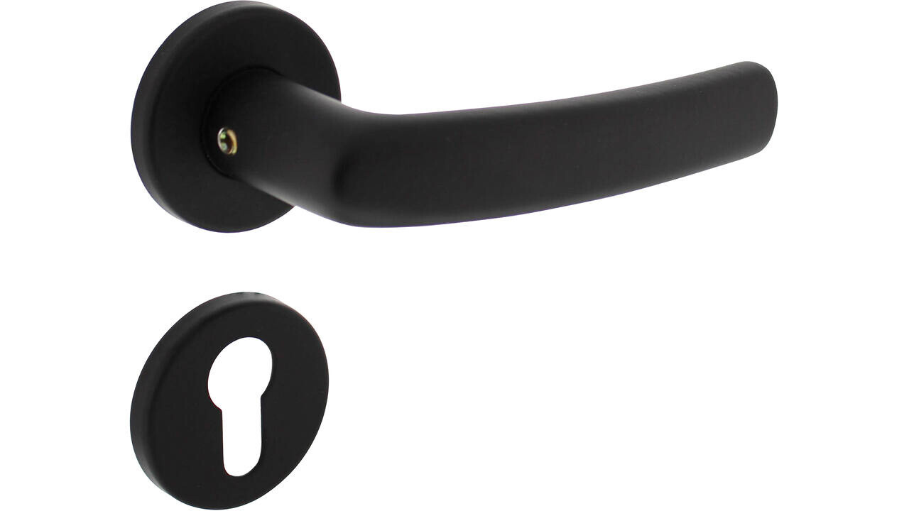 Intersteel Deurkruk Denham met rozet verdekt ø50x7mm met nokken zwart