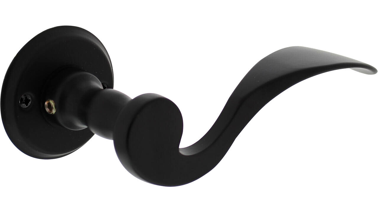 Intersteel Deurkruk Lepel met rozet ø50x5mm zwart