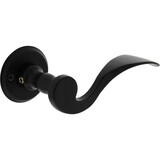 Intersteel Deurkruk Lepel met rozet ø50x5mm zwart