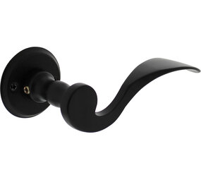 Intersteel Deurkruk Lepel met rozet ø50x5mm zwart