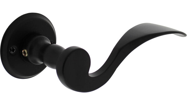Intersteel Deurkruk Lepel met rozet ø50x5mm zwart