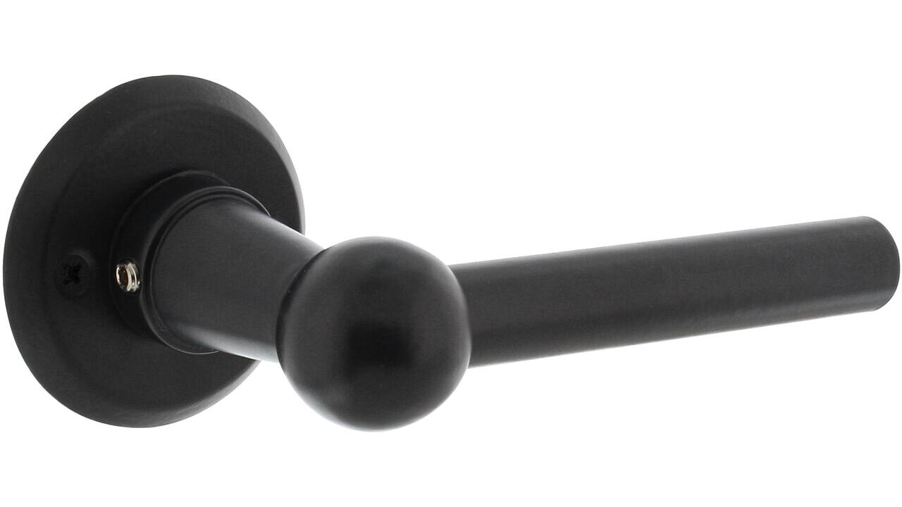 Intersteel Deurkruk L/L bol met rozet ø50x5mm zwart