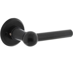 Intersteel Deurkruk L/L bol met rozet ø50x5mm zwart