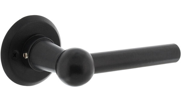 Intersteel Deurkruk L/L bol met rozet ø50x5mm zwart
