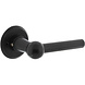 Intersteel Deurkruk L/L bol met rozet ø50x5mm zwart
