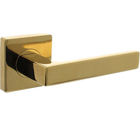 Intersteel Deurkruk Hera op rozet verdekt 55x55x10mm met nokken PVD messingkleur