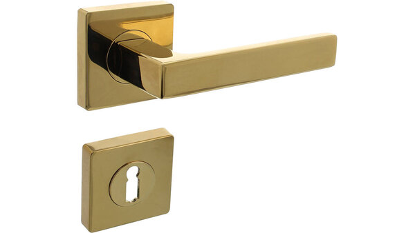 Intersteel Deurkruk Hera op rozet verdekt 55x55x10mm met nokken PVD messingkleur