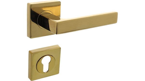 Intersteel Deurkruk Hera op rozet verdekt 55x55x10mm met nokken PVD messingkleur