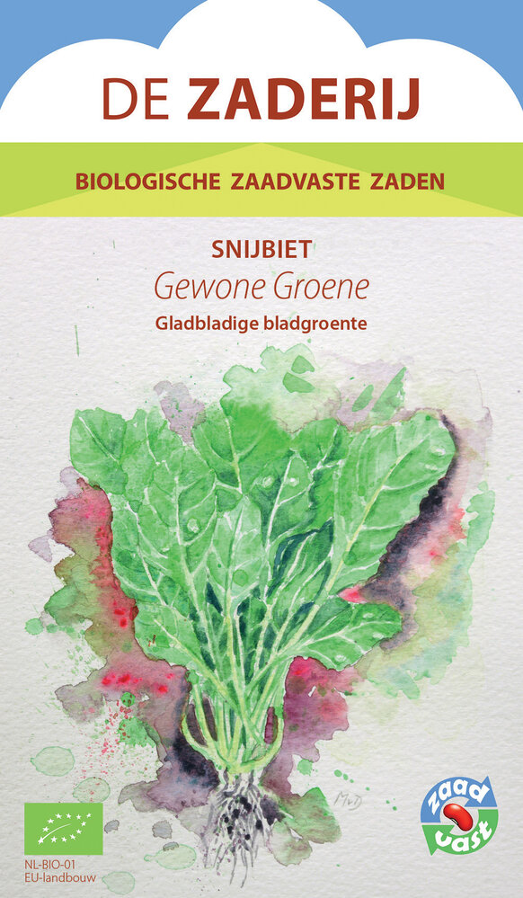 De Zaderij Biologische Gewone Groene Snijbiet
