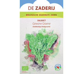 De Zaderij Biologische Gewone Groene Snijbiet