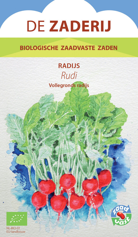 De Zaderij Biologische Radijs – Rudi