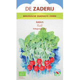 De Zaderij Biologische Radijs – Rudi