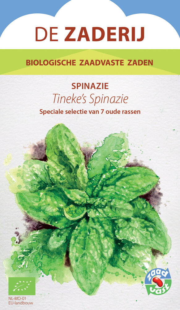 De Zaderij  Biologische Tineke's spinazie - Spinacia oleracea