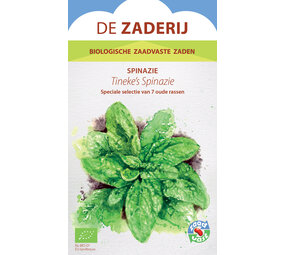 De Zaderij Biologische Tineke's spinazie - Spinacia oleracea