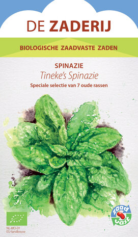 De Zaderij  Biologische Tineke's spinazie - Spinacia oleracea