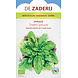 De Zaderij  Biologische Tineke's spinazie - Spinacia oleracea