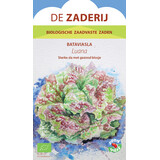 De Zaderij Biologische Bataviasla Luana