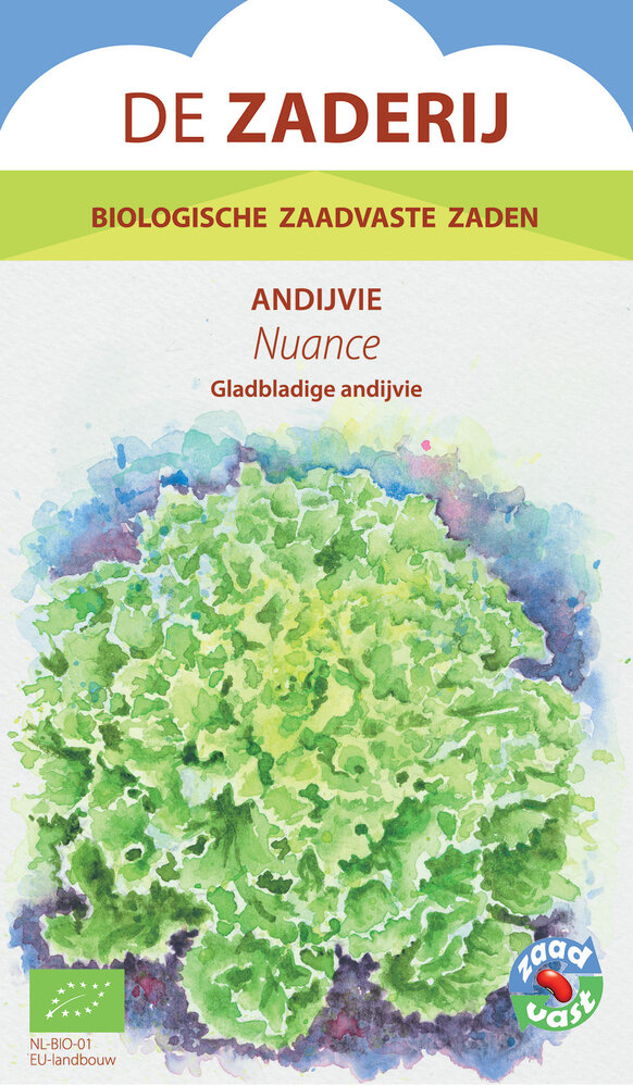 De Zaderij Biologische Andijvie Nuance