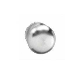 Intersteel Knoprozet verdekt ø53x5mm met nokken en vaste knop paddenstoel rvs