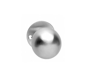 Intersteel Knoprozet ø51x2mm met vaste knop bol rvs