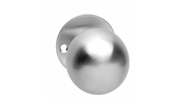 Intersteel Knoprozet ø51x2mm met vaste knop bol rvs