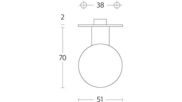 Intersteel Knoprozet ø51x2mm met vaste knop bol rvs