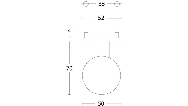 Intersteel Knoprozet verdekt ø53x5mm met nokken en vaste knop bol rvs