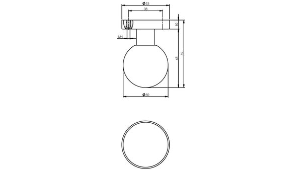 Intersteel Knoprozet verdekt ø53x10mm met nokken en vaste knop bol rvs