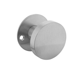 Intersteel Knoprozet Ø51x2mm met vaste knop plat en wisselstift rvs